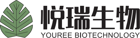 Yuerui Biology
